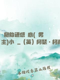 雙胞胎通感夾心(雙男主)小說